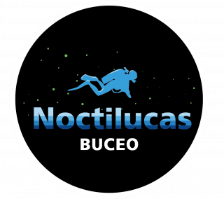 gallery/logo noctilucas (2)